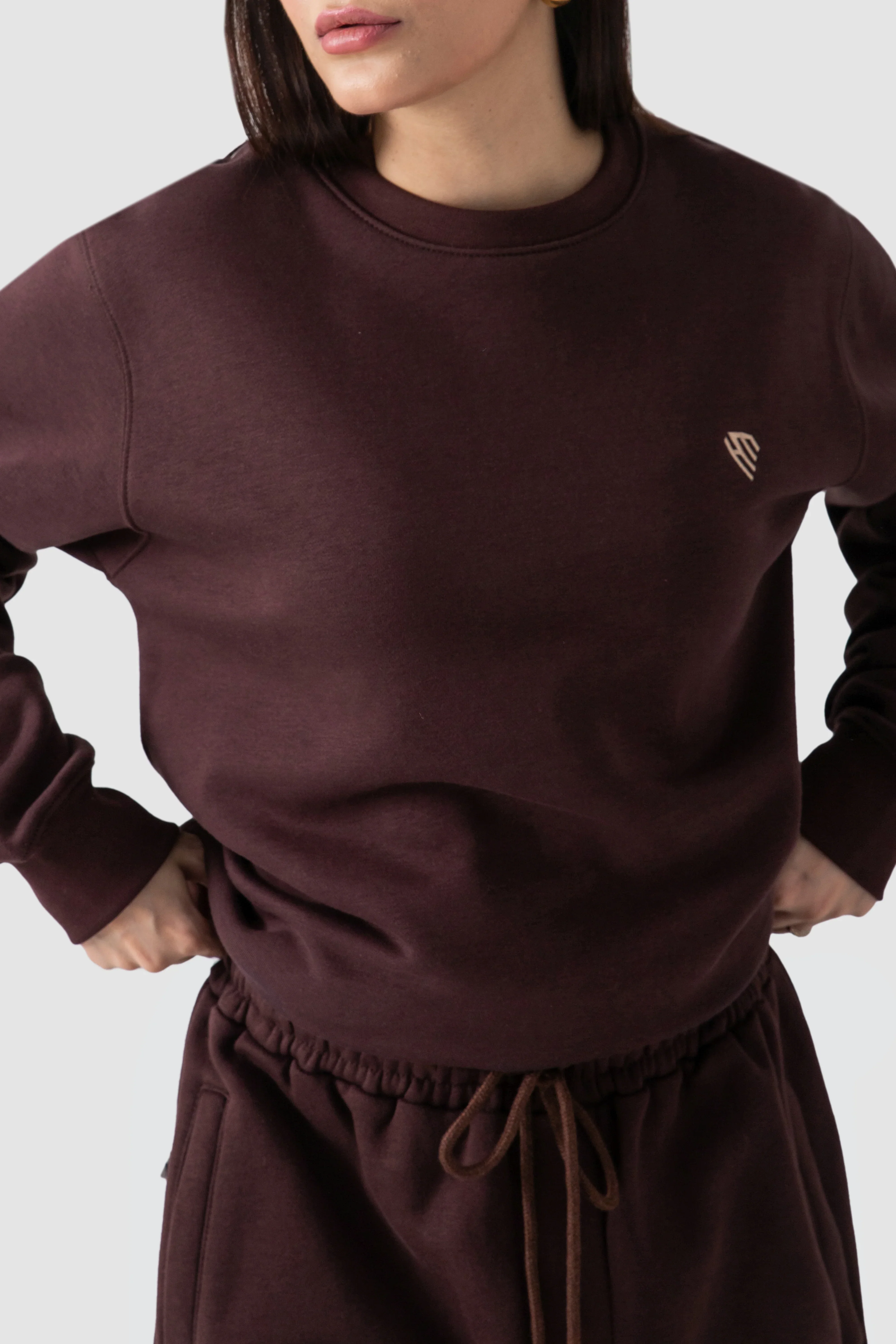 WOMEN CHOCOLATE BROWN SWEATSHIRT - Image 3