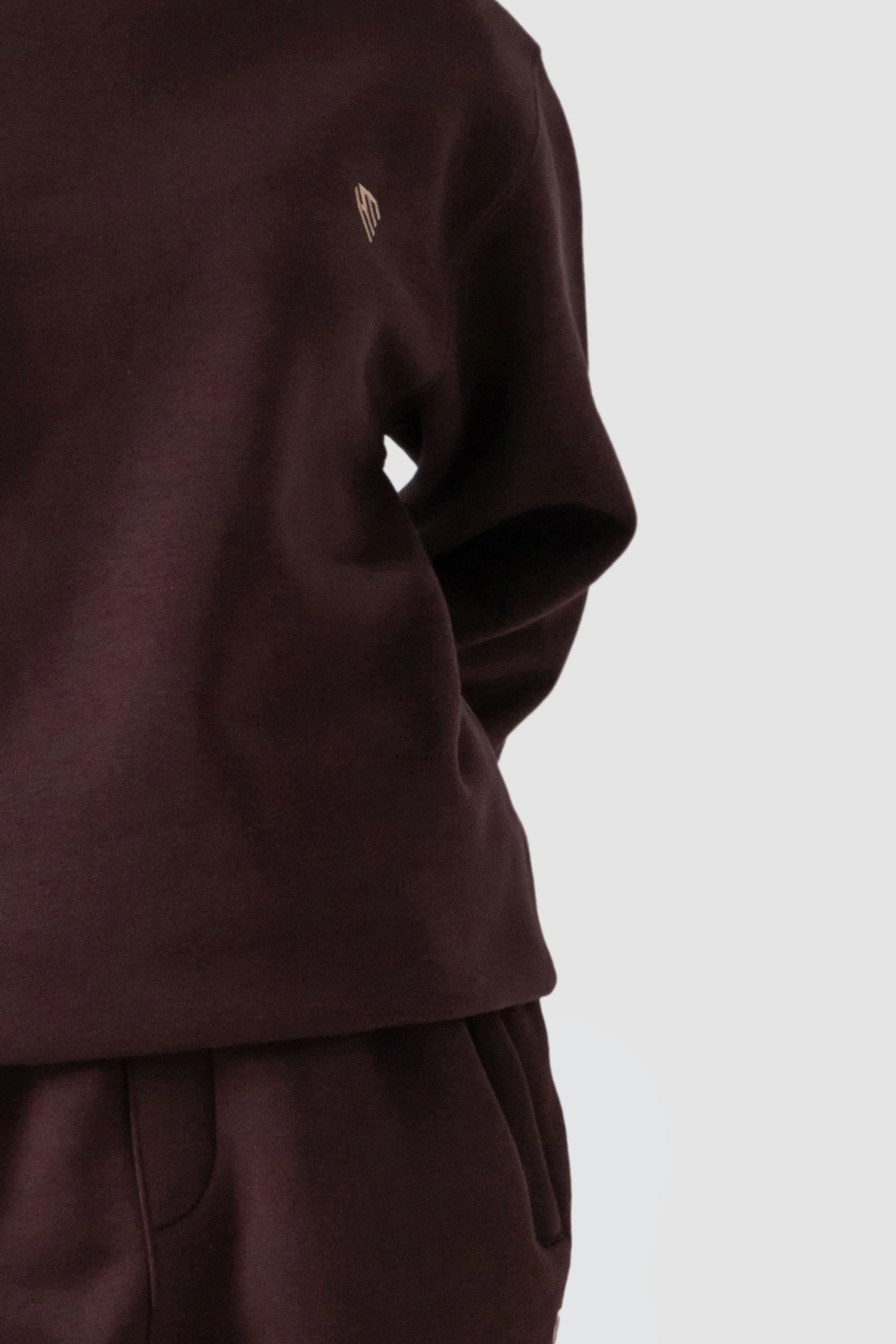 WOMEN CHOCOLATE BROWN SWEATSHIRT - Image 4